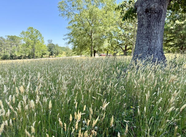 1301 Jameson Road, Easley, SC 29640