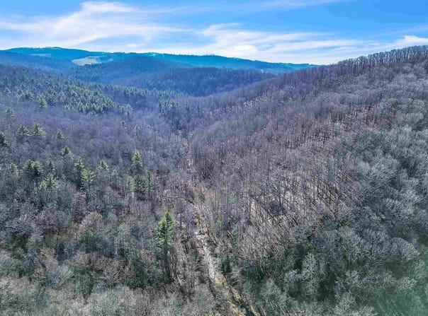 1398 Cox Store Road, Floyd, VA 24091