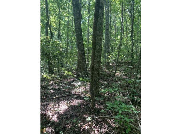 N Woods Point, Sky Valley, GA 30537