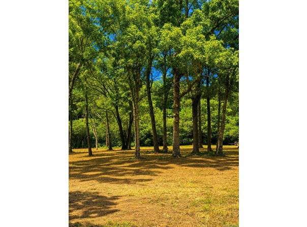 Cemetery Road, Clinton, AR 72031