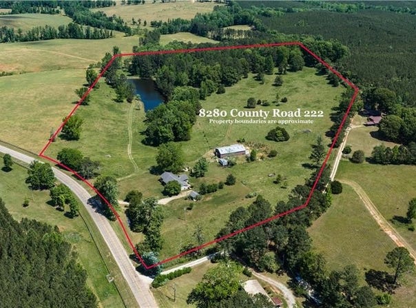 8280 COUNTY ROAD 222, FIVE POINTS, AL 36855