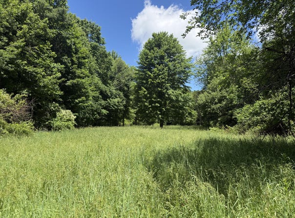 Hagerman Road, Leonard, MI 48367
