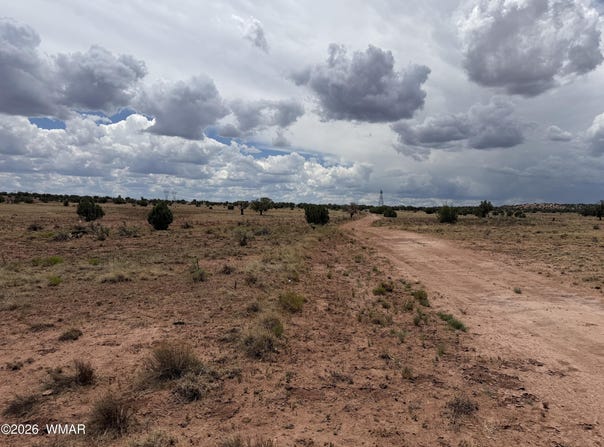 20 N 9160, Concho, AZ 85924