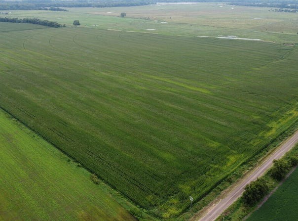 S 250th, Fullerton, NE 68638