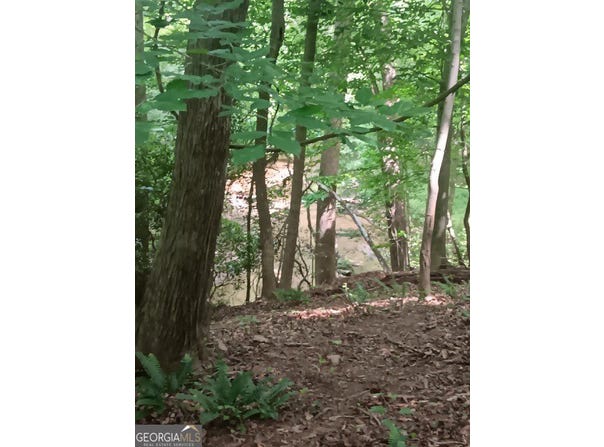 Pulliam Mill Road, Dewy Rose, GA 30634