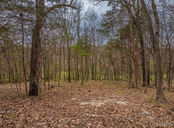 2903 Valley View Drive, Innsbrook, MO 63390