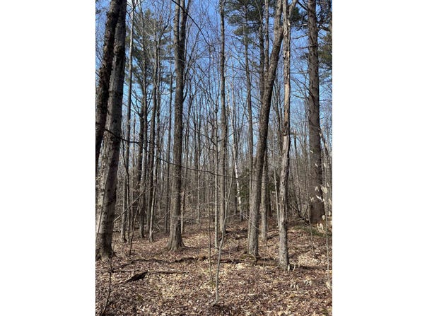 Columbus Jordan Road, Plainfield, NH 03781
