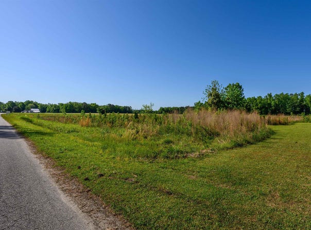 Billy MC Rd., Green Sea, SC 29545