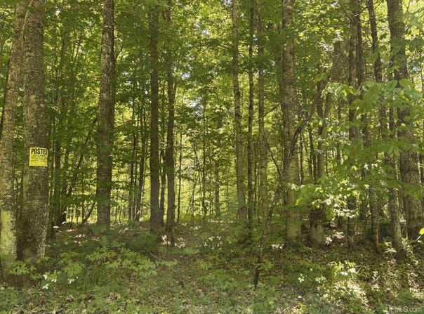 Osborn Drive, McMillan, MI 49853