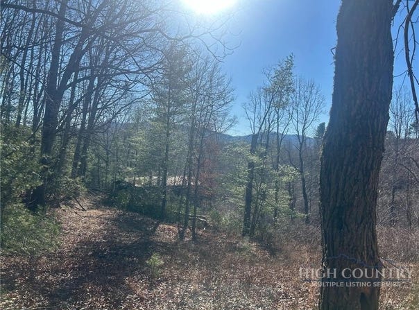 7889 Old Highway 16, Crumpler, NC 28617
