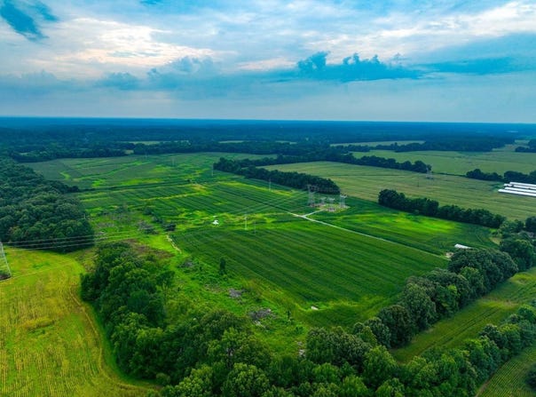 Trout Road, Dexter, KY 42036