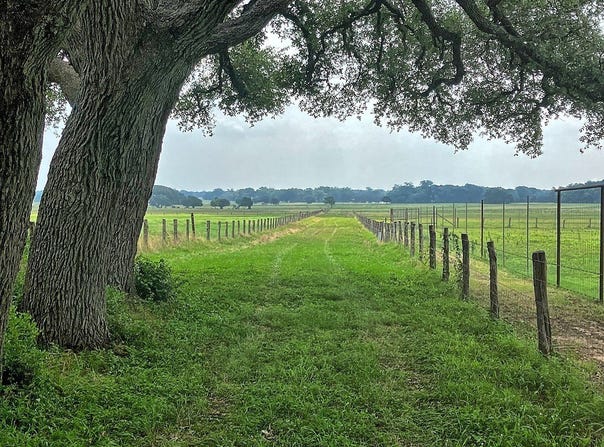 Neiser Lane, Weimar, TX 78962