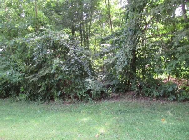 Tract #2 Deep Woods Drive, Cassopolis, MI 49031