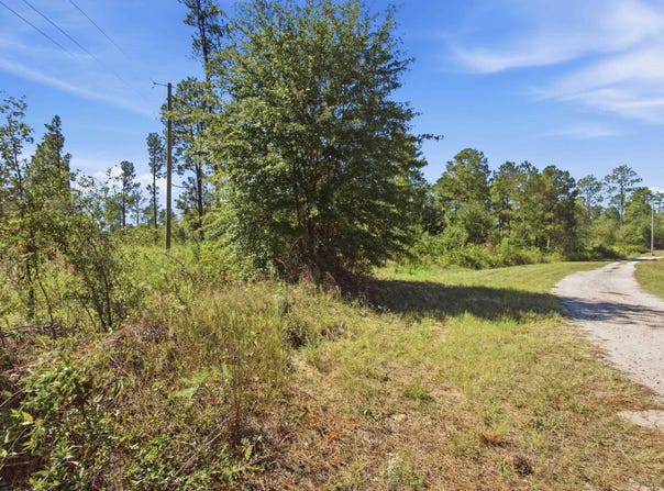 Martin Smith Road, Gilbert, SC 29054