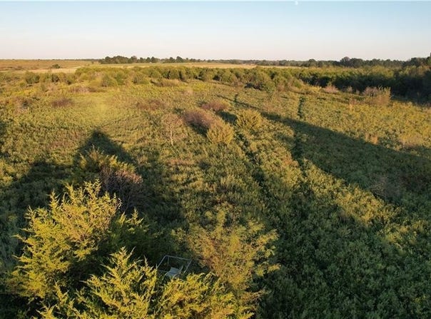 890 NW 100th Road, Liberal, MO 64762