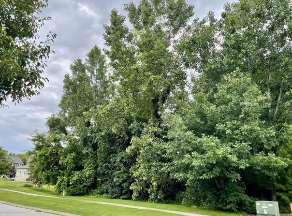 887 Hemingway Trail, Valparaiso, IN 46383