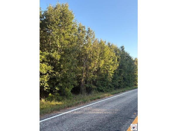 TRACT 19 HWY 990, Simms, TX 75574