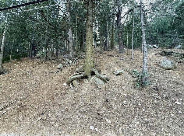 Scenic View, Crestline, CA 92325