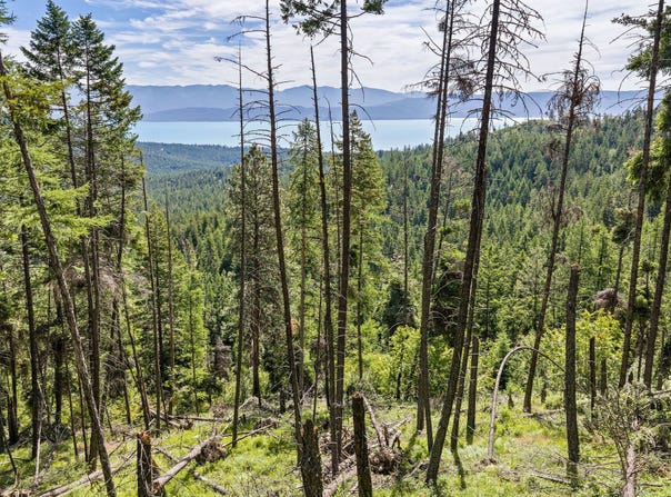 64 Lone Wolf Trail, Lakeside, MT 59922