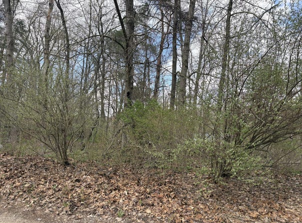 8113 Poplar Drive, Reading, MI 49274