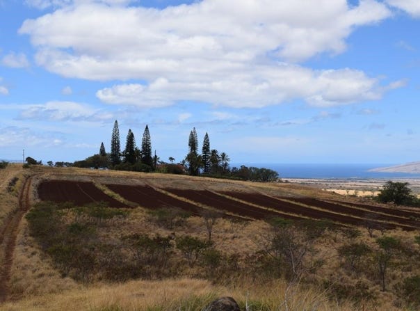 Omaopio Rd, Kula, HI 96790