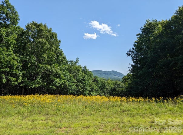 Stratford Drive, Bostic, NC 28018