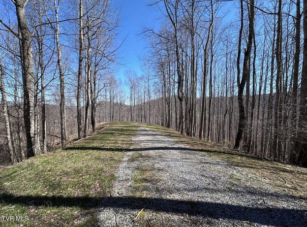 Roan Springs Road, Roan Mountain, TN 37687