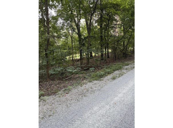 Chiefs Lane, Shell Knob, MO 65747