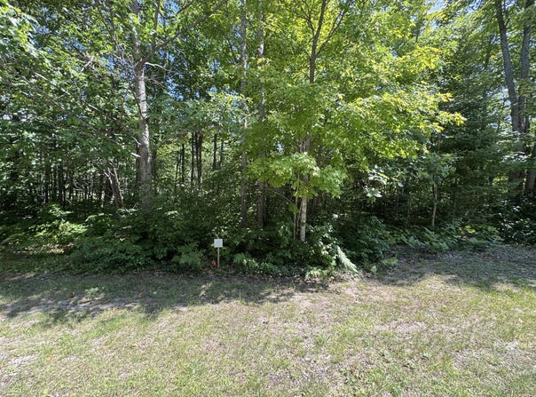 S Deer Run Rd, Kinross, MI 49752