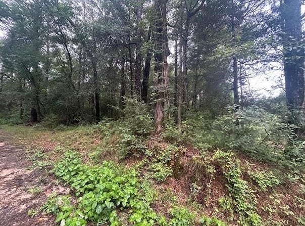 Clairborne Jones Rd, WAYNESBORO, MS 39367