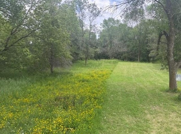 Circle Drive NW lot: 4, Block 4, Alexandria, MN 56308