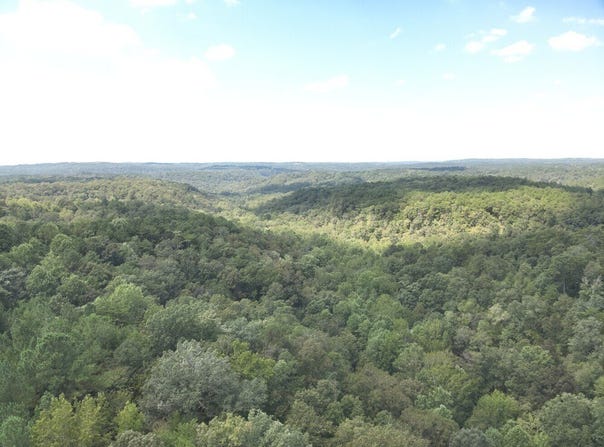 63 acres Stanley Road, Brookwood, AL 35444