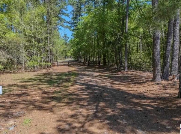 1315 Hill Harrell Road, Effingham, SC 29541-3179