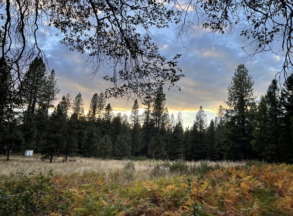 Forest Road, McCloud, CA 96057