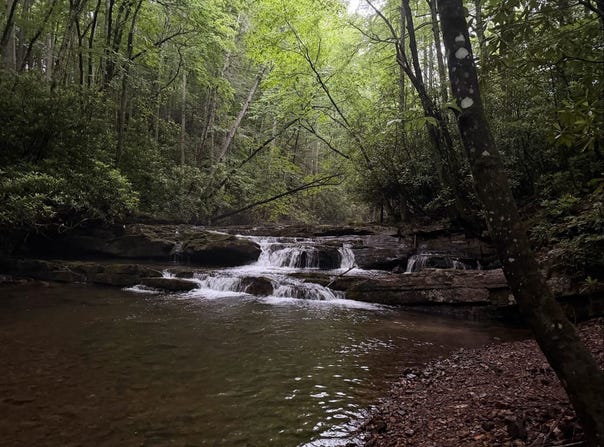 Tbd Cove Creek Rd, Bastian, VA 24314