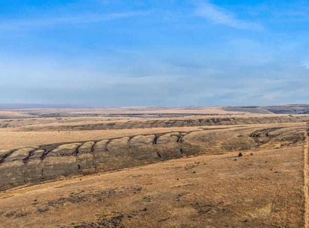 Badger Canyon Road, Condon, OR 97823