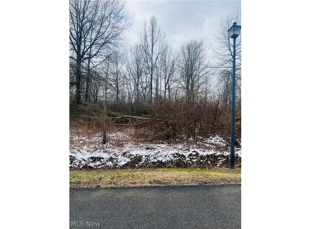 Breezewood Lane lot: 134, Orwell, OH 44076
