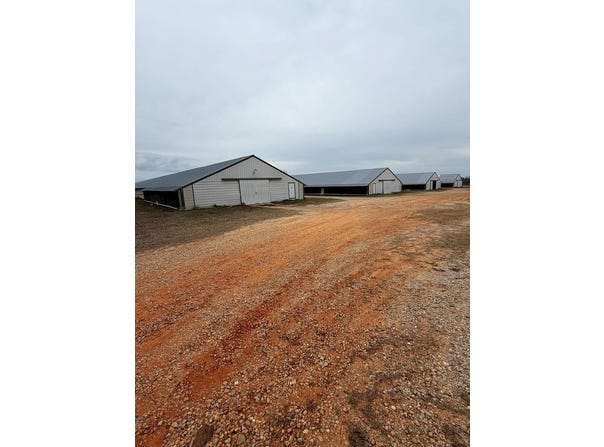 127 Cooper Road, CLAYTON, AL 36016