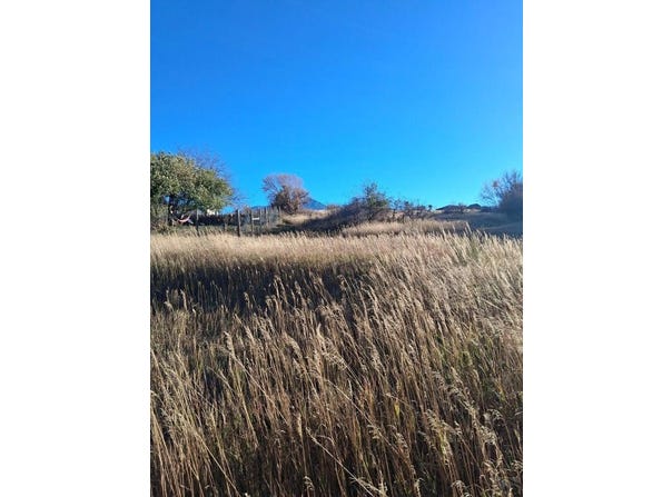 E Grand St, La Veta, CO 81055