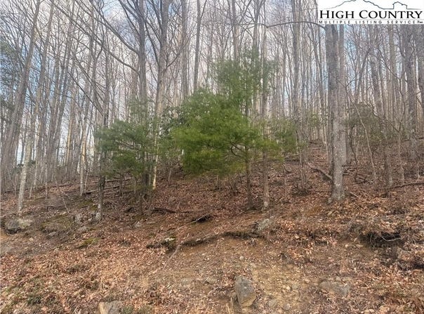 212 Jackpine Road, Beech Mountain, NC 28604