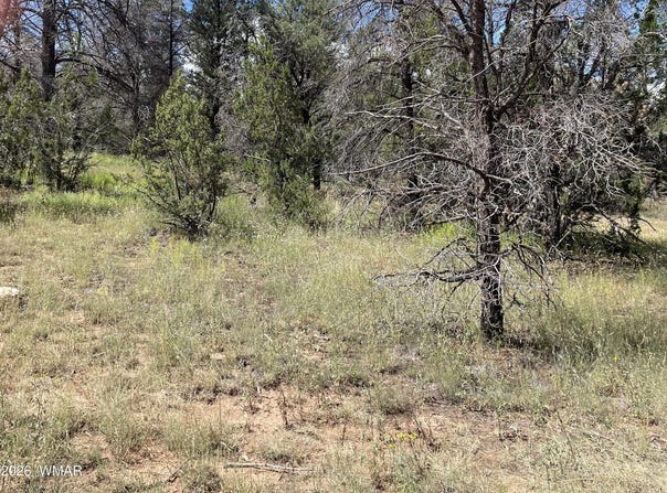 Jeep Trail, Overgaard, AZ 85933
