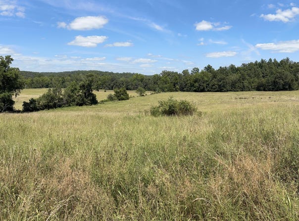 3922 County Road 534, Ellington, MO 63638