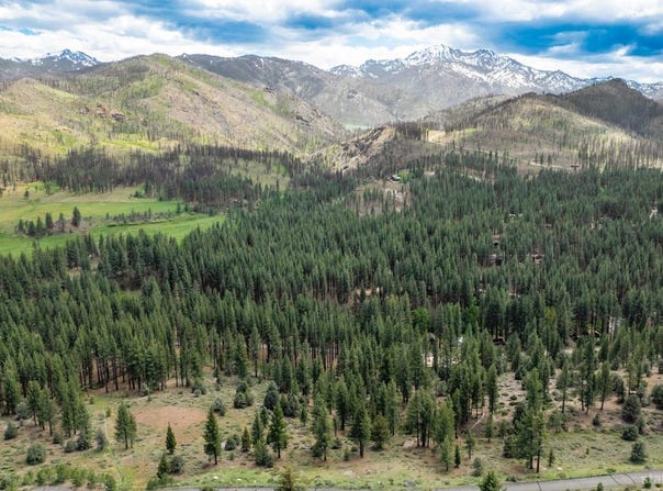Silver Peak Rd, Markleeville, CA 96120