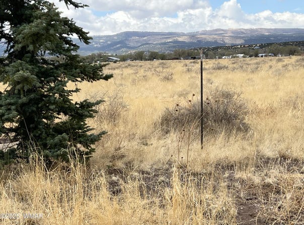 E Highway 60, Springerville, AZ 85938