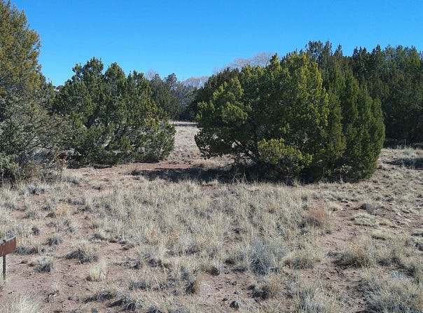 Concho Valley 1 Drive, Concho, AZ 85924