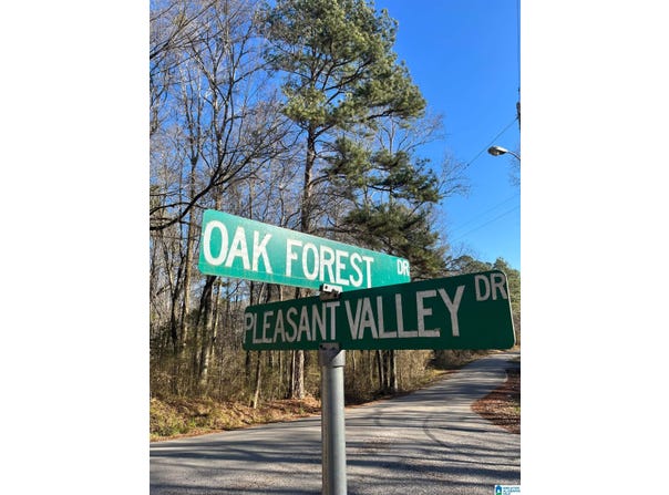 208 OAK FOREST DRIVE lot: 1, BIRMINGHAM, AL 35217