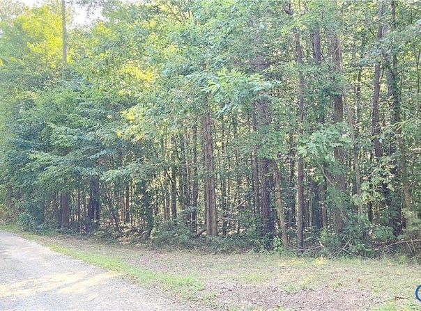 9-A-61 Springfield Road, Meherrin, VA 23954