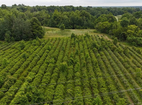 5563 Baseline Rd., Grand Junction, MI 49056