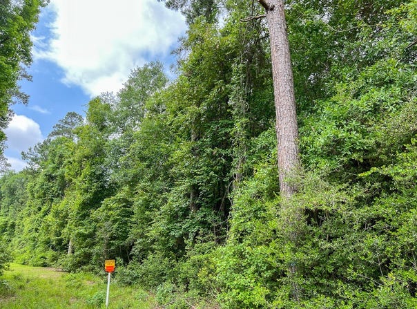 FM 2937/Old Arco Road, Silsbee, TX 77656