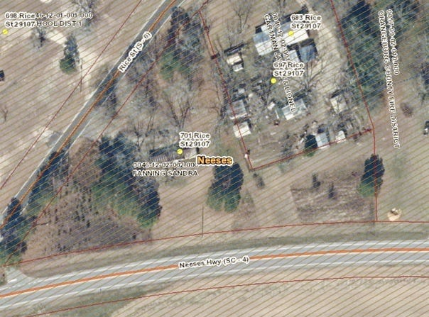 701 Rice Street, NEESES, SC 29107